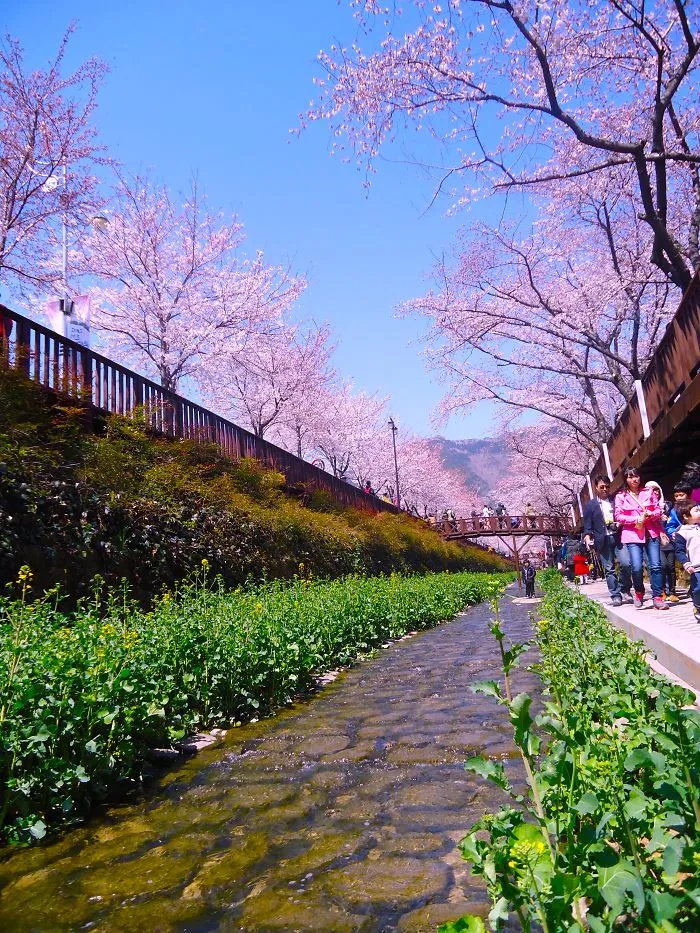 Jinhe, South Korea