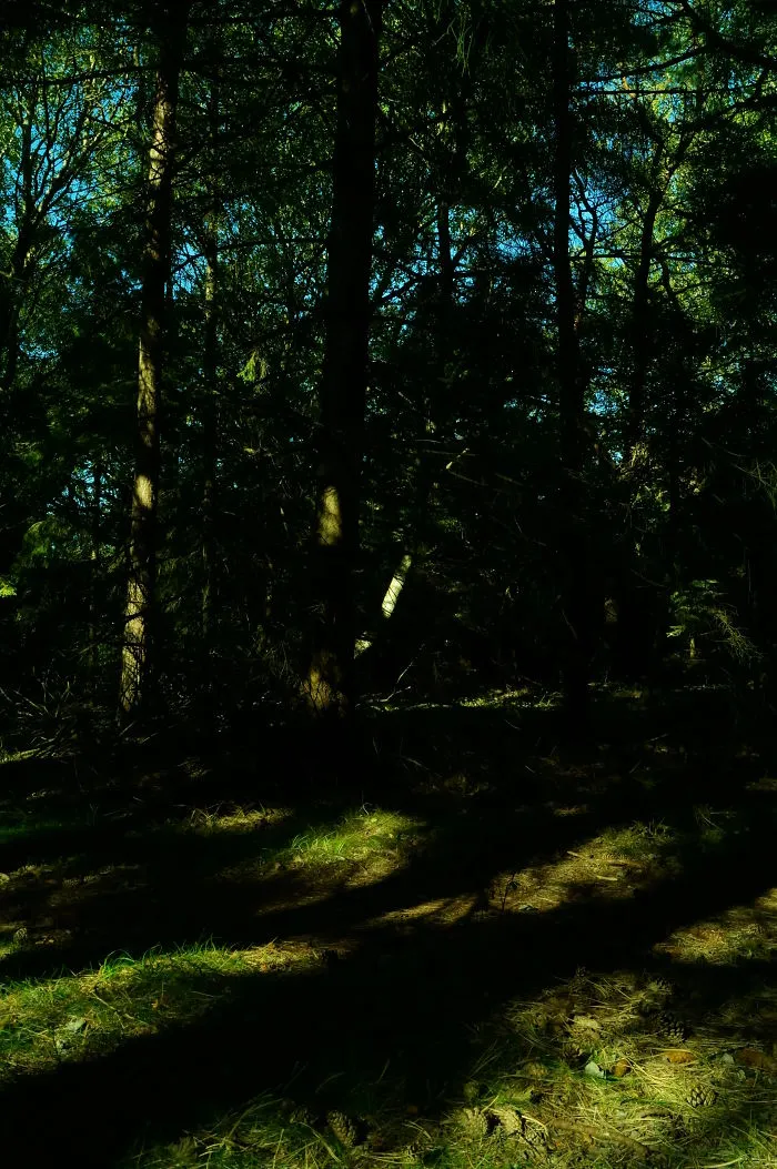 September Light