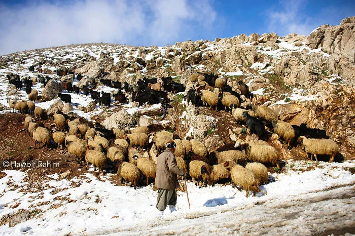 Kurdistan
