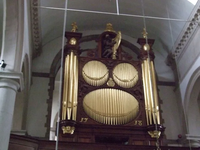 Ape Face Organ In Uk