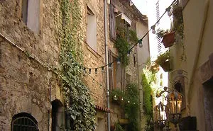 154 Of The World's Most Magical Streets Shaded By Flowers And Trees