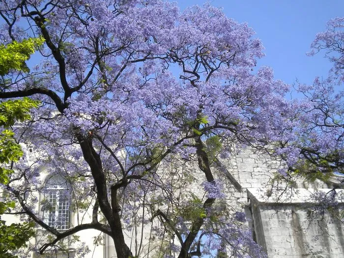 Lisboa (lisbon), Portugal