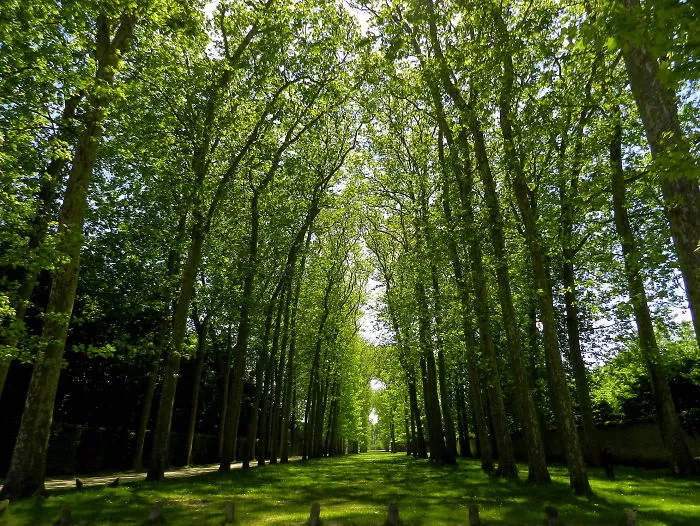 Versailles, France