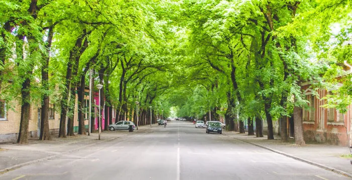 Street Of General Drapshin In Kikinda, Serbia