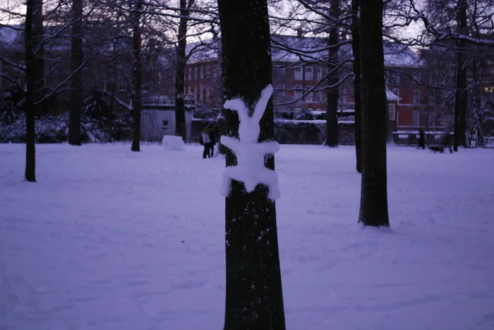 Crashed Snow Bunny