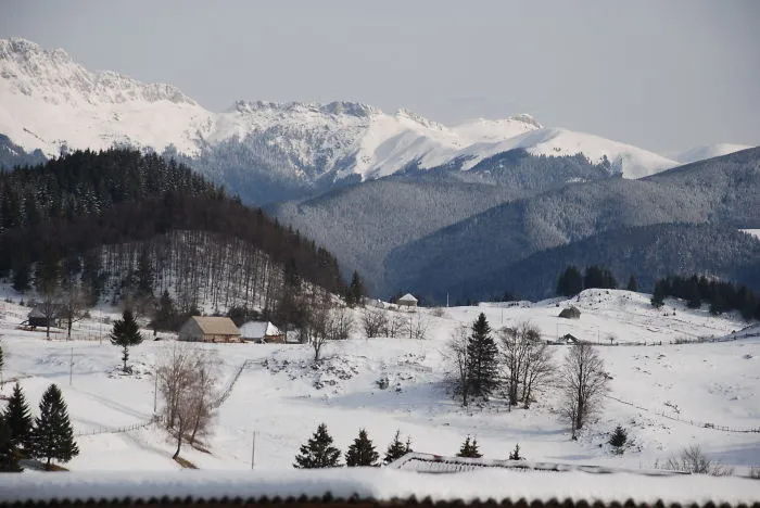 Dacian Roots - Brașov, România
