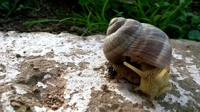 Hi,honey! :)