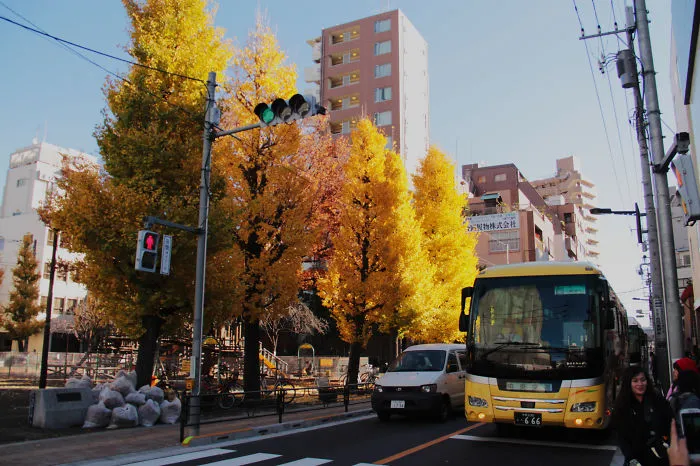 Tokyo, Japan