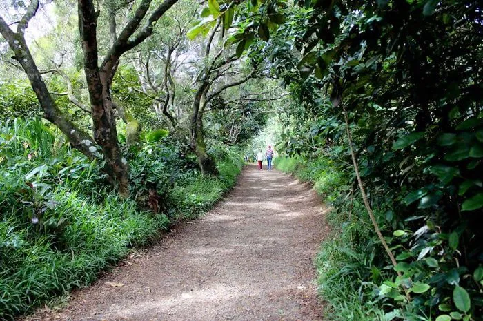 Hawaii, Usa