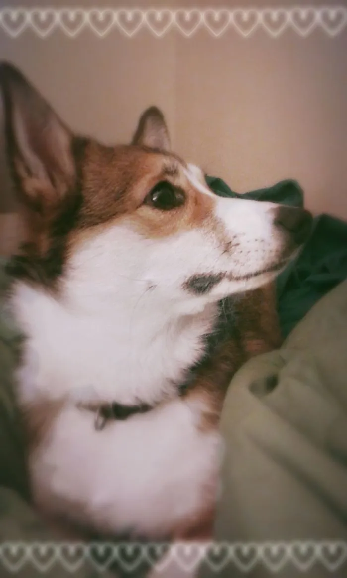 Winston