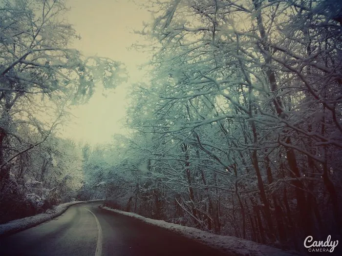 Winter