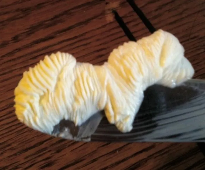 Butter Dog