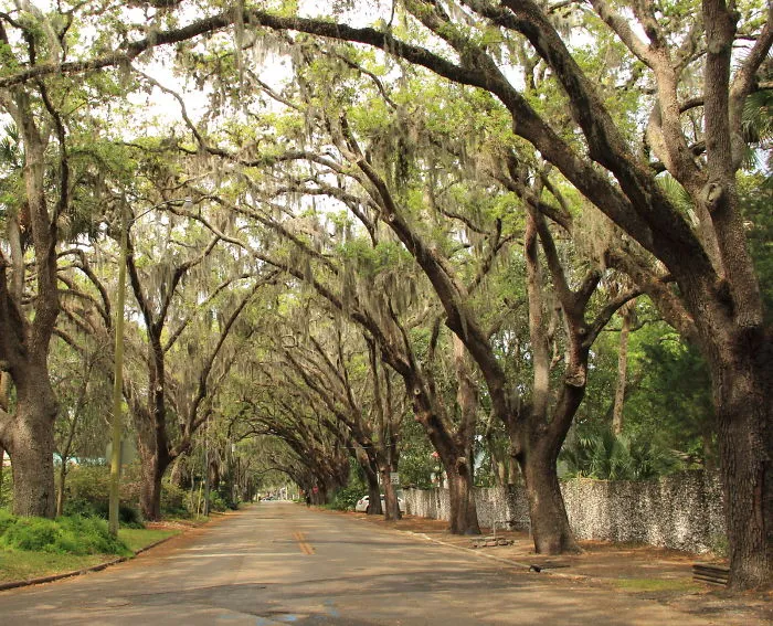 Fountain Of Youth.  St. Augustine, Fl Usa