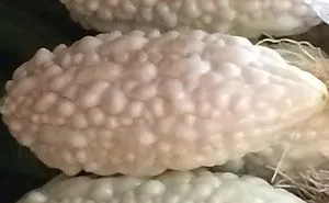 46 Of The World's Weirdest Fruits And Vegetables