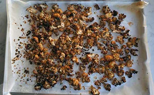 The Parchment Project: Impressions That Food Leaves Behind