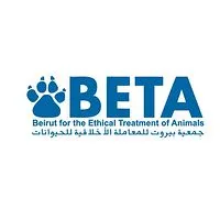 BETA Lebanon