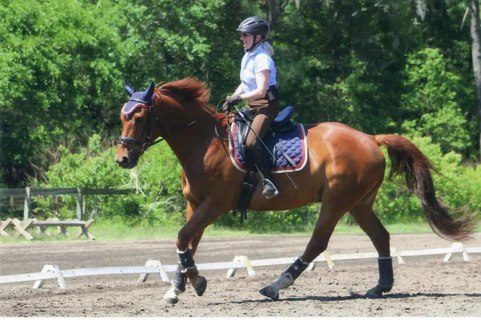 67 Year Old Lynda Fox Started Riding Horses 5 Years Ago And Now Competes In Dressage
