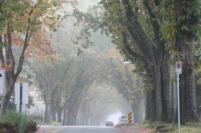 Vancouver, British Columbia