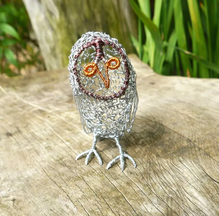 Little Owl By Matt Gale