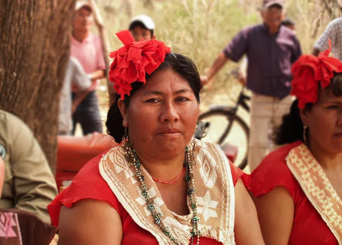 Capitana Grande Fidelia From Guaraní-izozog, Bolivia.