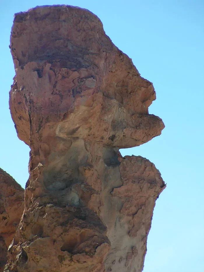 Pareidolia Rocks!!!