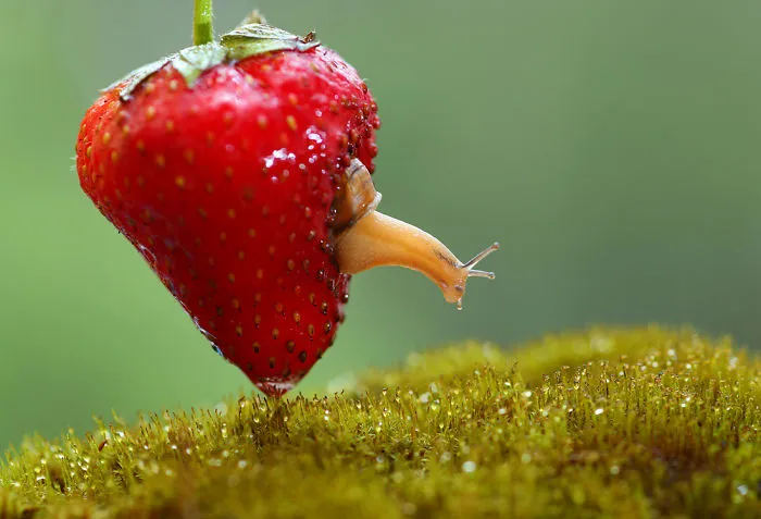 Photographer Captures Stunning Photos Of The World At Our Feet.