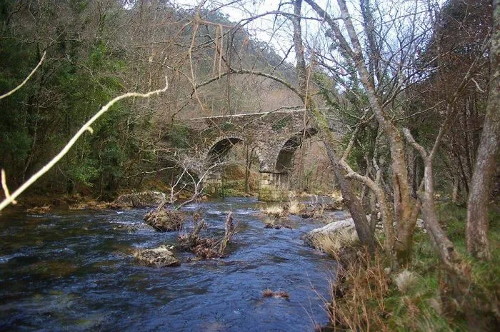 Ancient stone mystical bridge over flowing river surrounded by leafless trees in a serene forest landscape.
