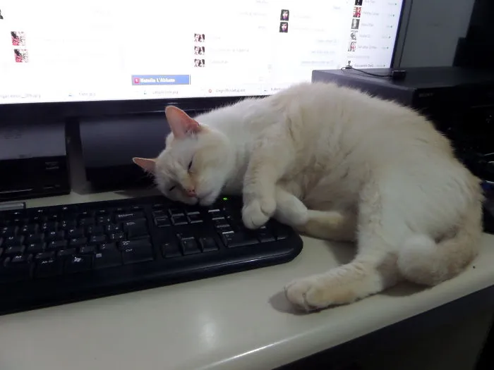 Moleque Taking A Break From It Work.