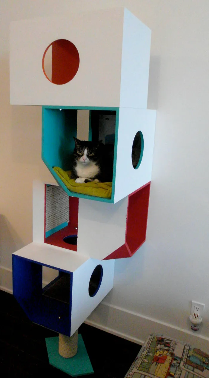 Kitty Condo