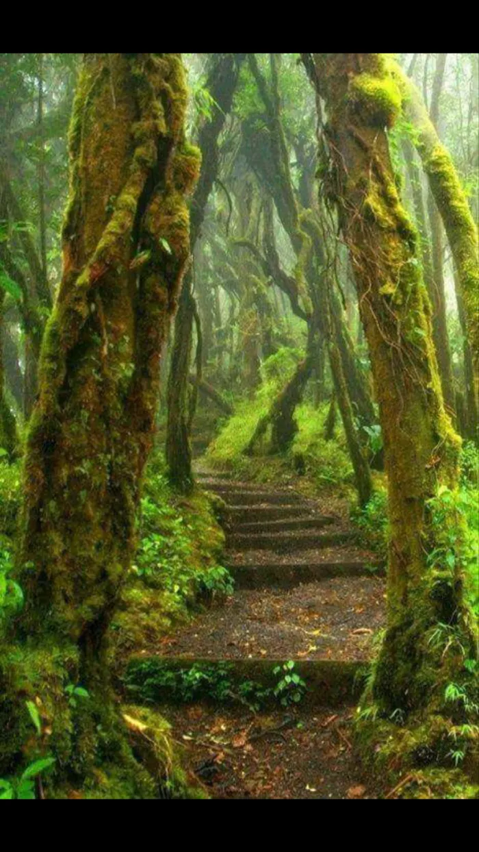 Parque Braulio Carrillo, Costa Rica