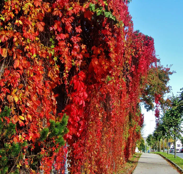 Skien, Norway (by Anne G)