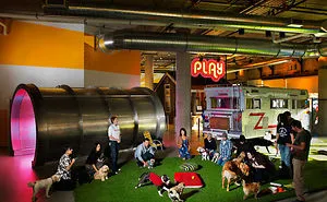 The Most Functional And Attractive Offices