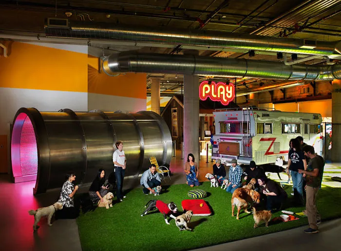 The Most Functional And Attractive Offices