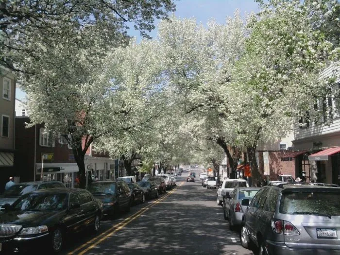 Princeton, Nj