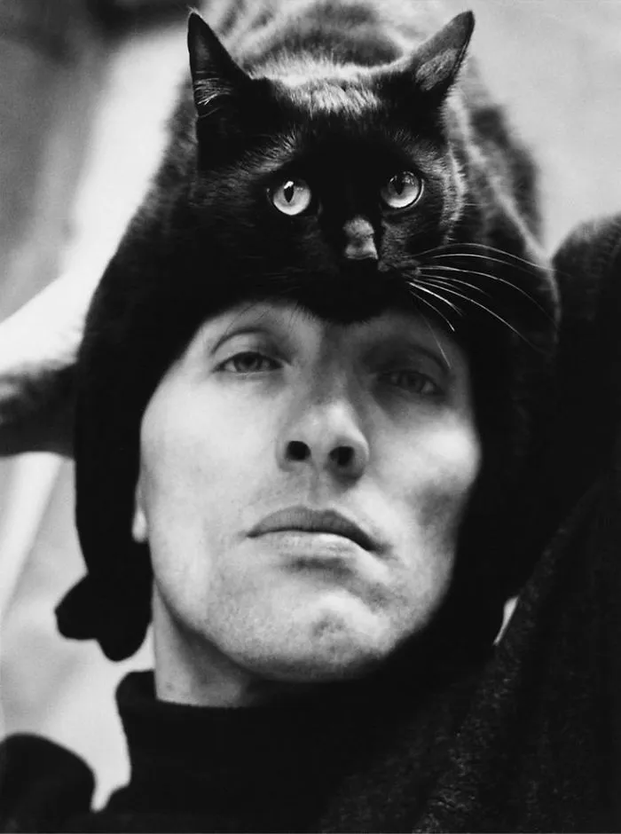 People Wearing Cats As Hats Is The Cutest Trend Right Now