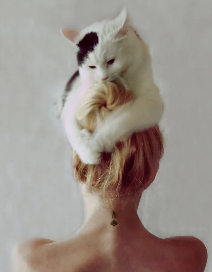 People Wearing Cats As Hats Is The Cutest Trend Right Now