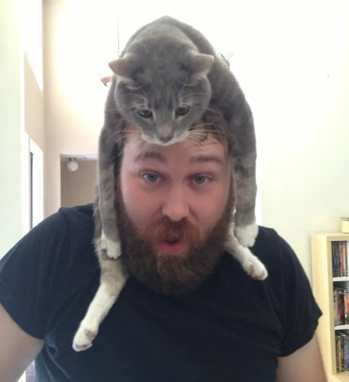 People Wearing Cats As Hats Is The Cutest Trend Right Now