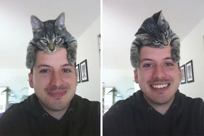 People Wearing Cats As Hats Is The Cutest Trend Right Now