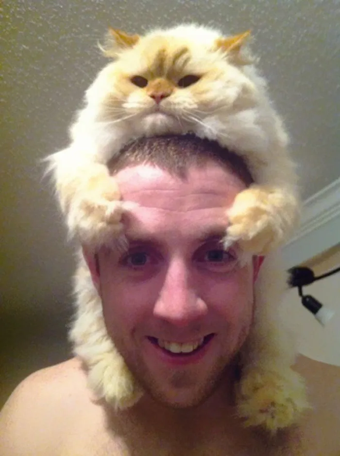 People Wearing Cats As Hats Is The Cutest Trend Right Now