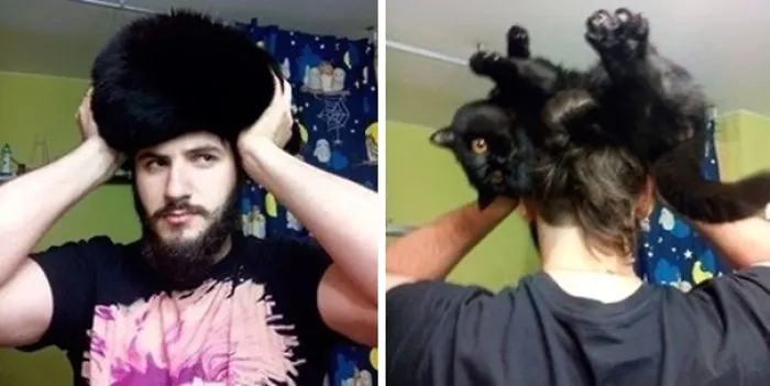 People Wearing Cats As Hats Is The Cutest Trend Right Now