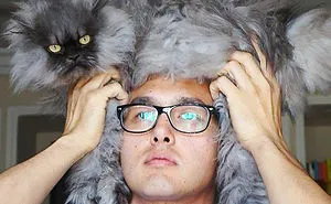 People Wearing Cats As Hats Is The Cutest Trend Right Now