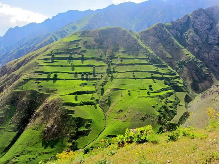 Afghanistan You Never See By Journalist Bilal Sarwary