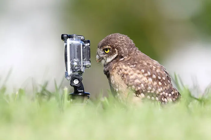Selfie Master