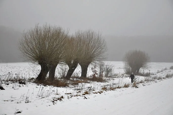 Bąkowa Góra (poland)