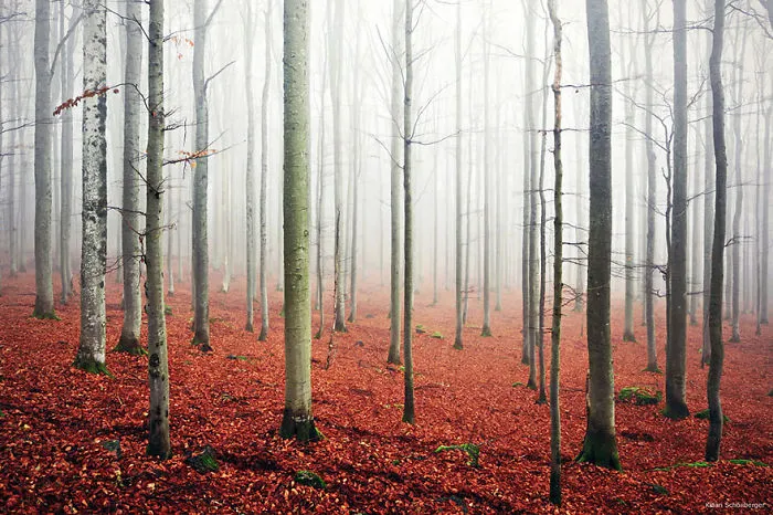 Bavaria, Germany