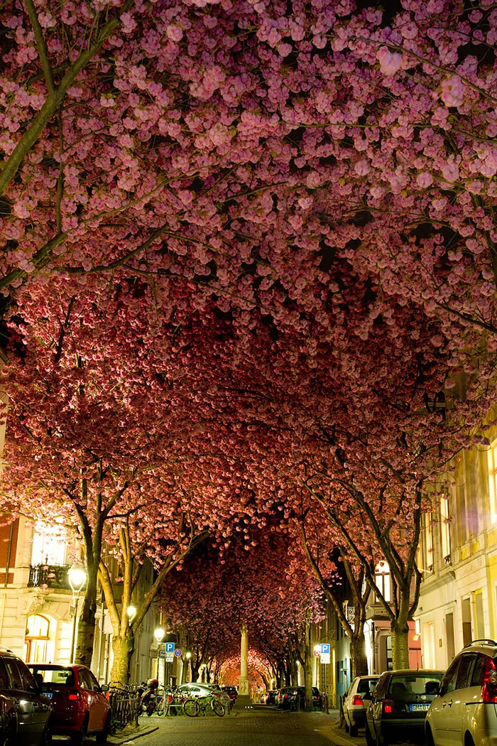 Bonn, Germany