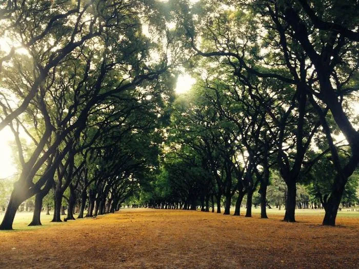 Buenos Aires, Argentina