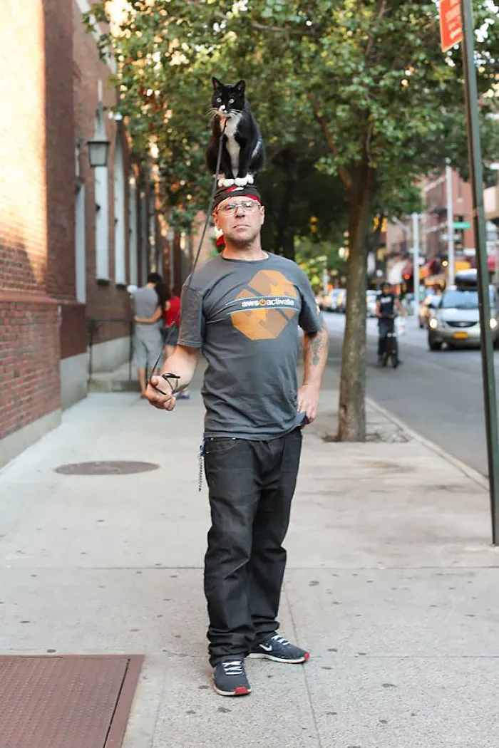 People Wearing Cats As Hats Is The Cutest Trend Right Now