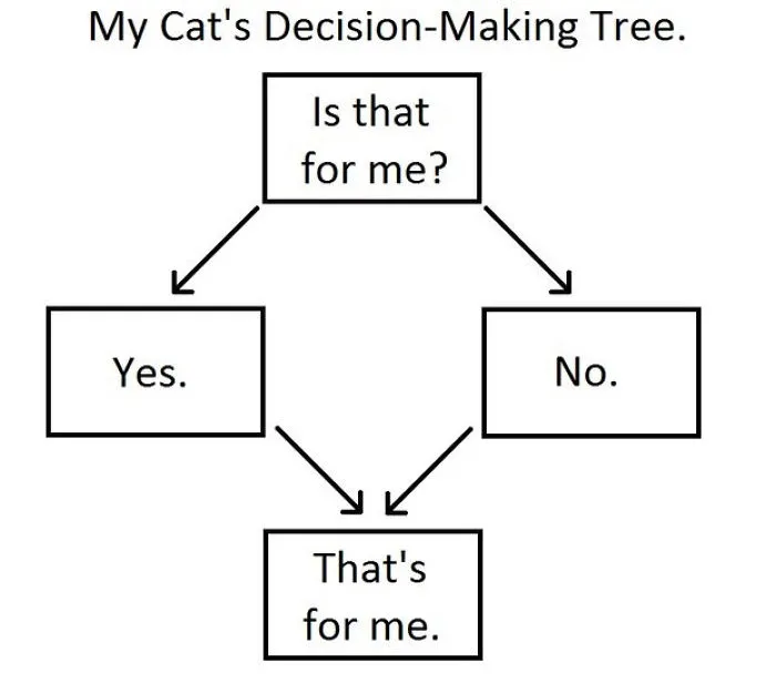 Cat's Decision-Making Tree
