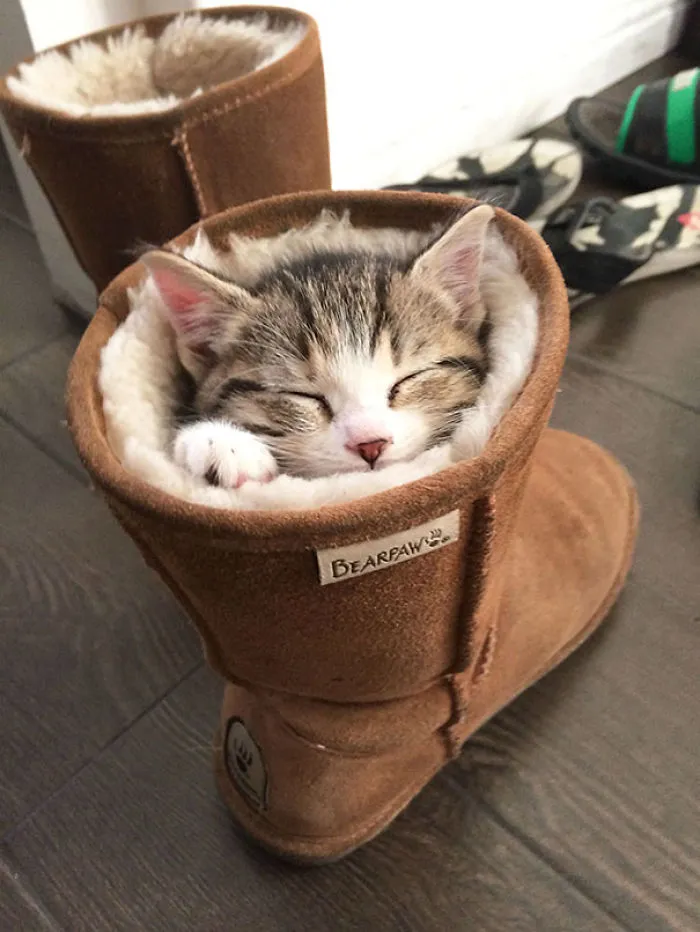 You Can't Go Outside, I Sleeps Here